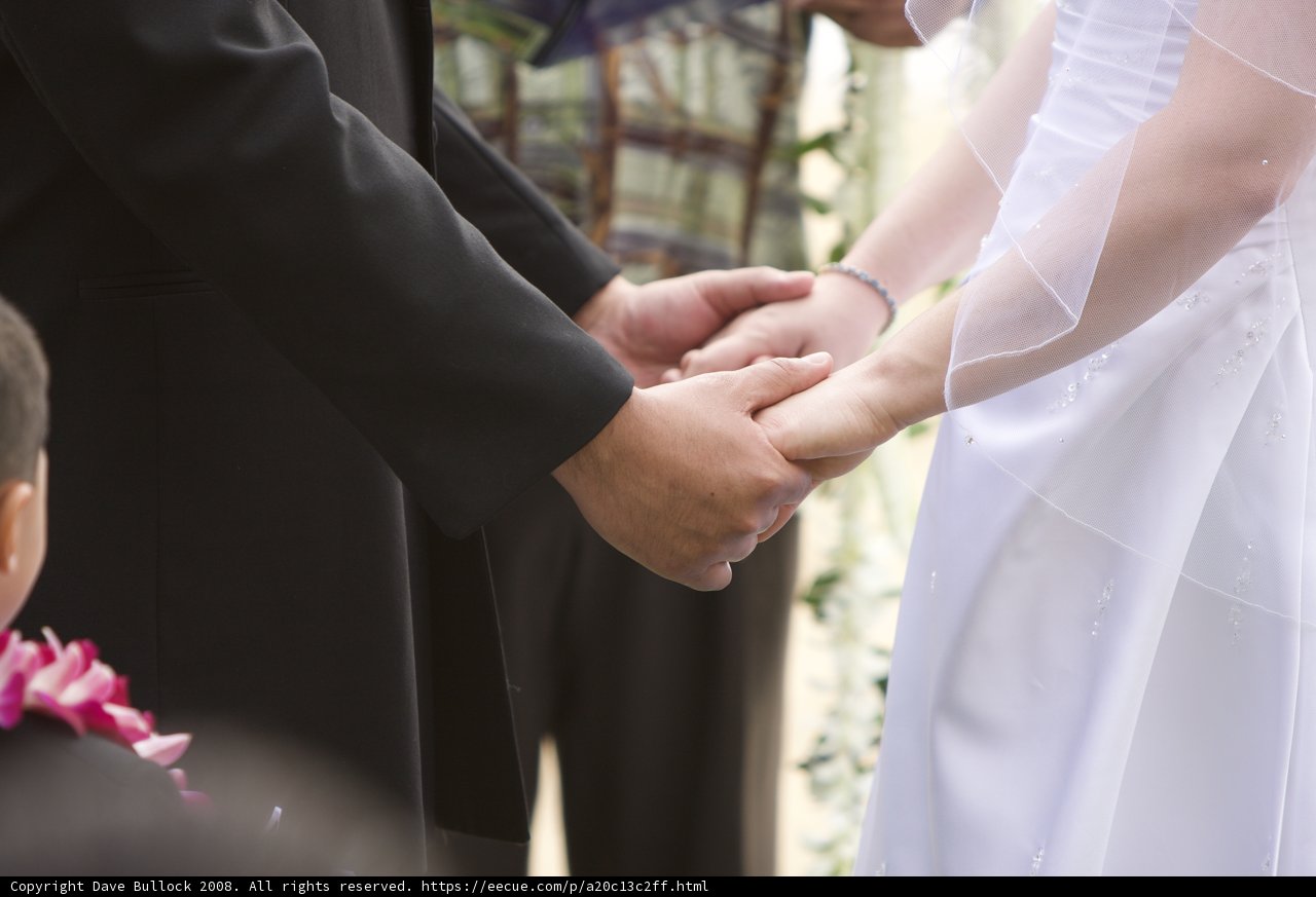 Wedding Bliss