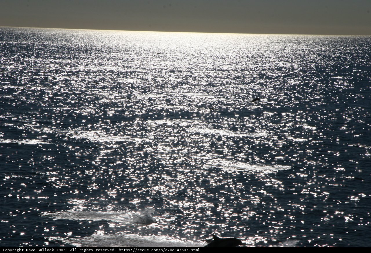 Glittering Horizon