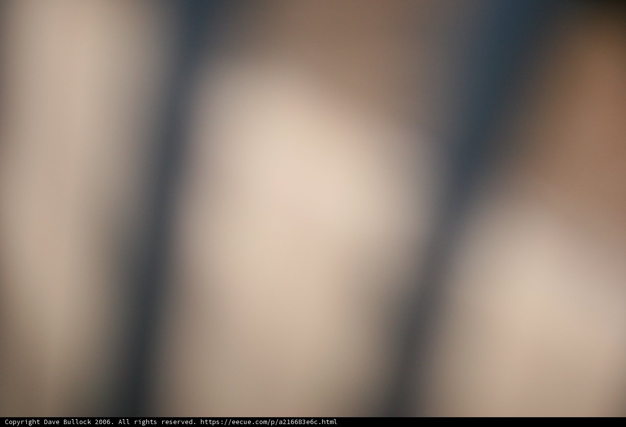 Blurred Figure by the Fence