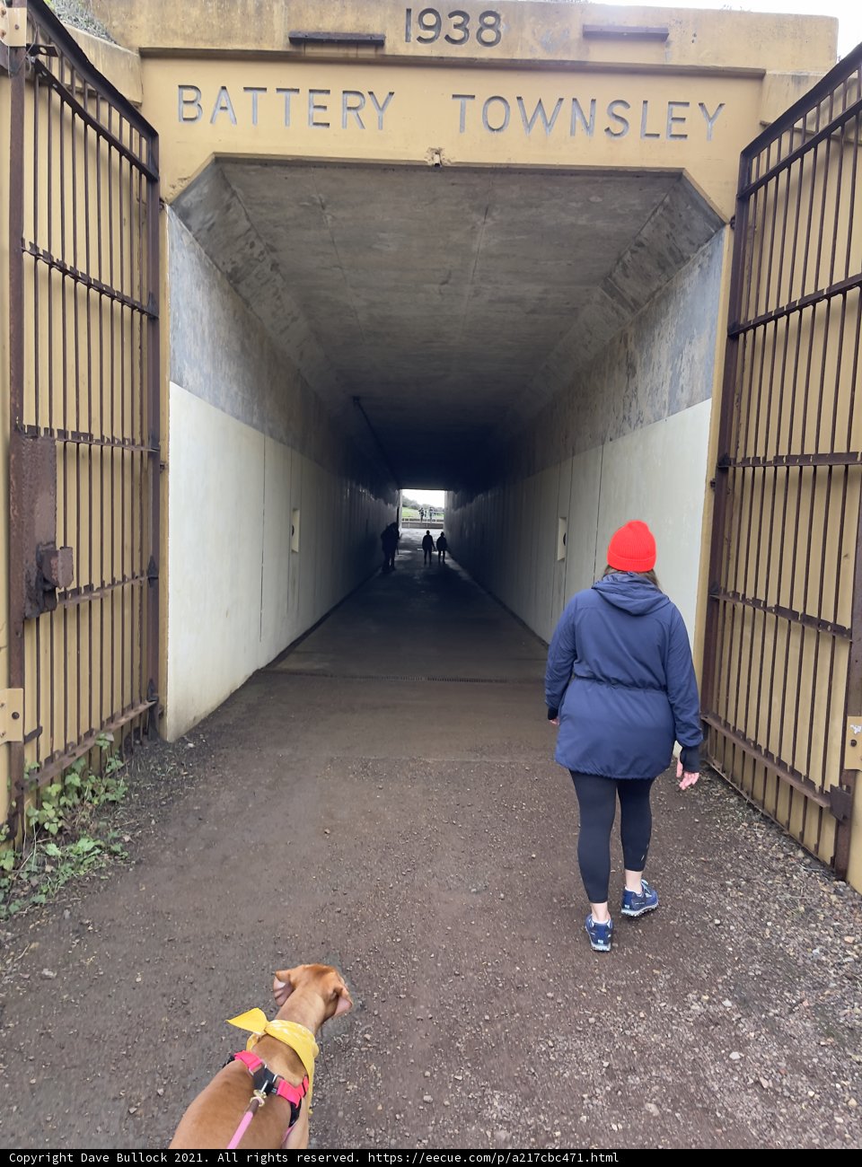Walk With Your Best Friend