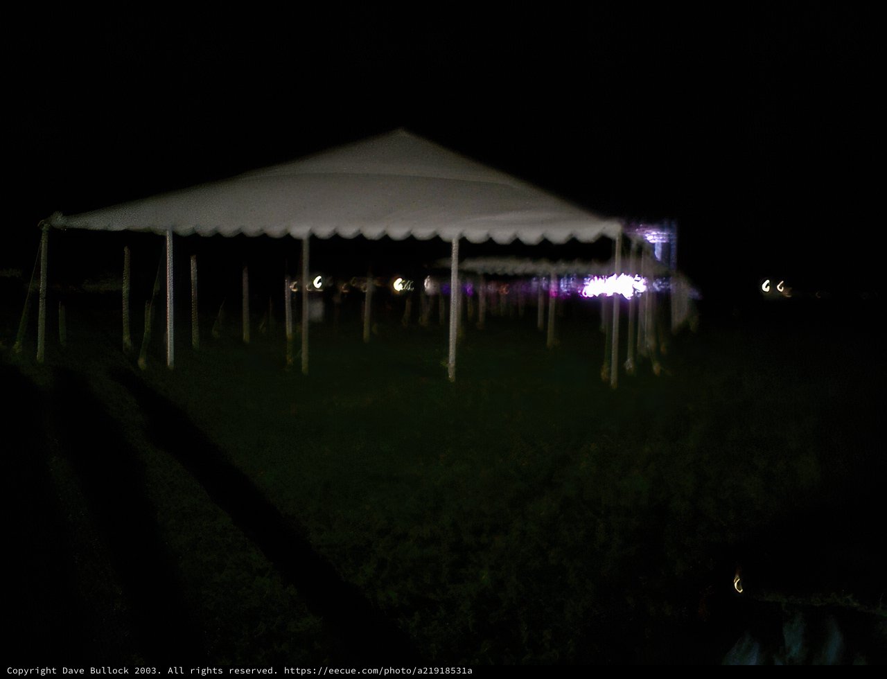 A Night Under the Stars