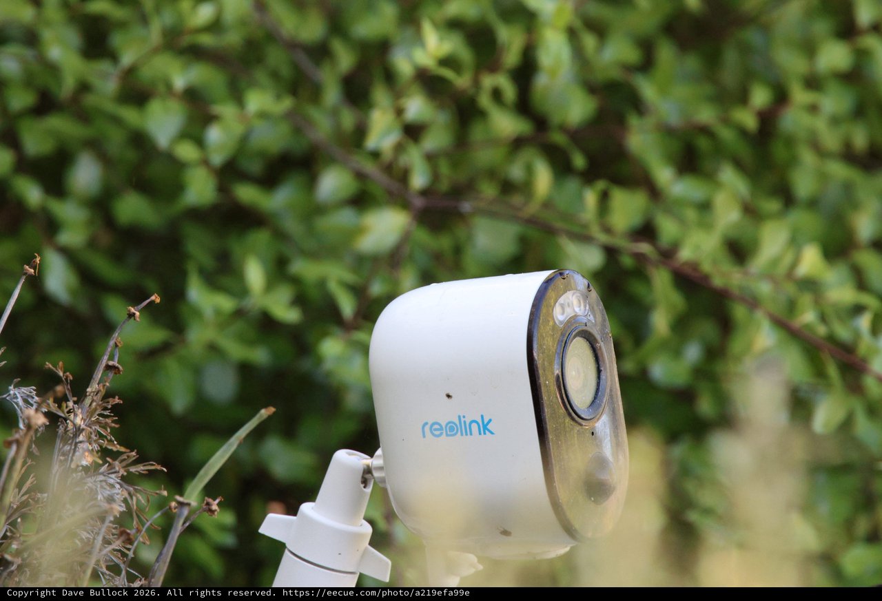 Reolink Security Camera Mounted in Garden Setting