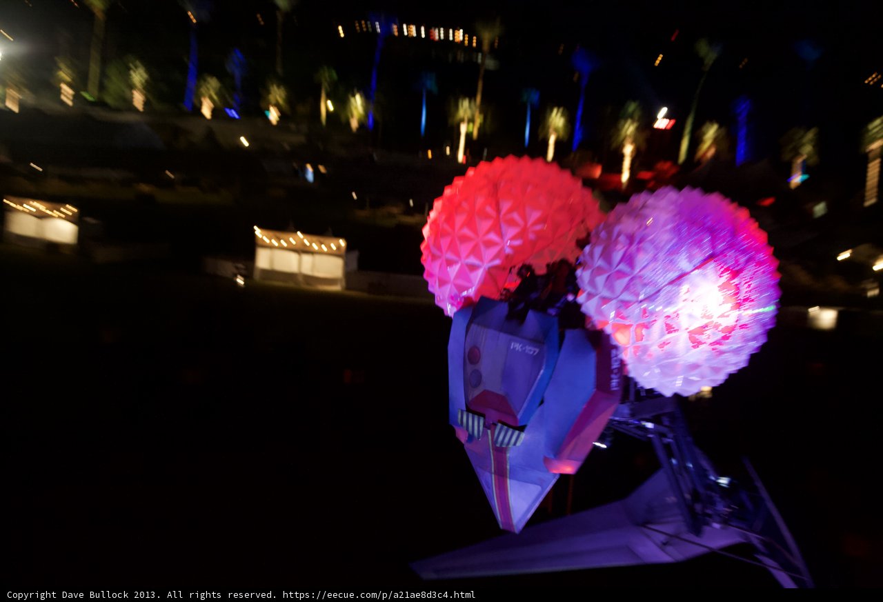 Illuminated Bloom