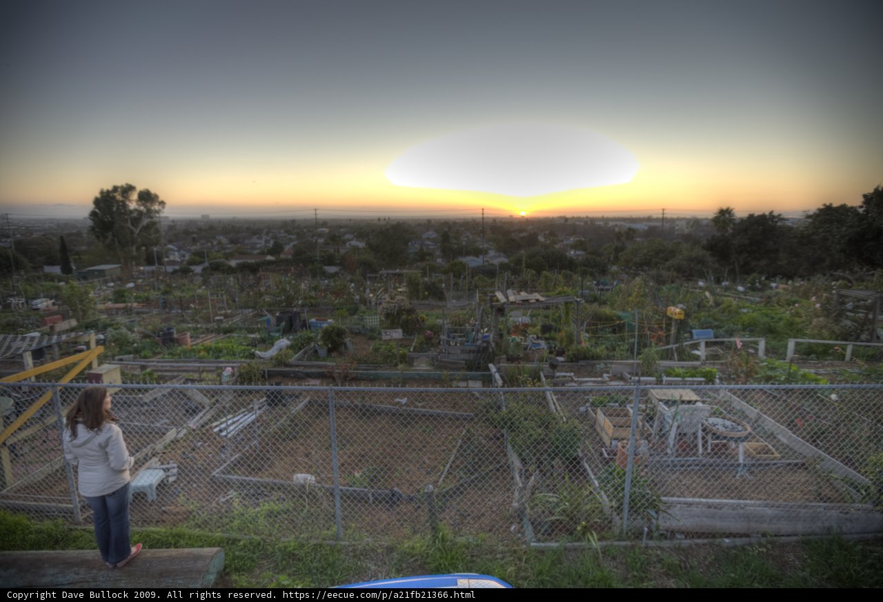 Sunset Stroll in the Community Garden