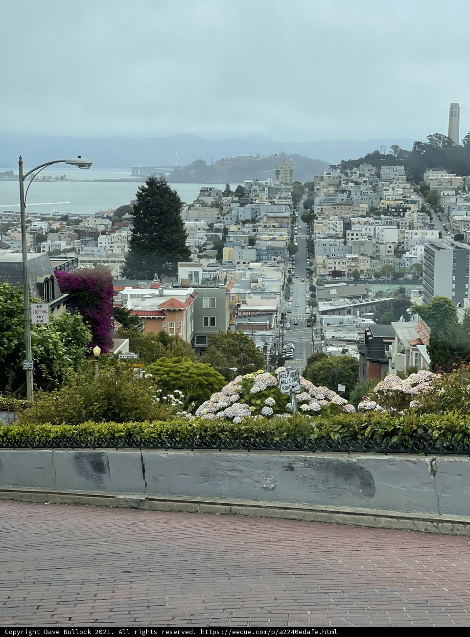 Aerial View of San Francisco Cityscape from George Sterling Park