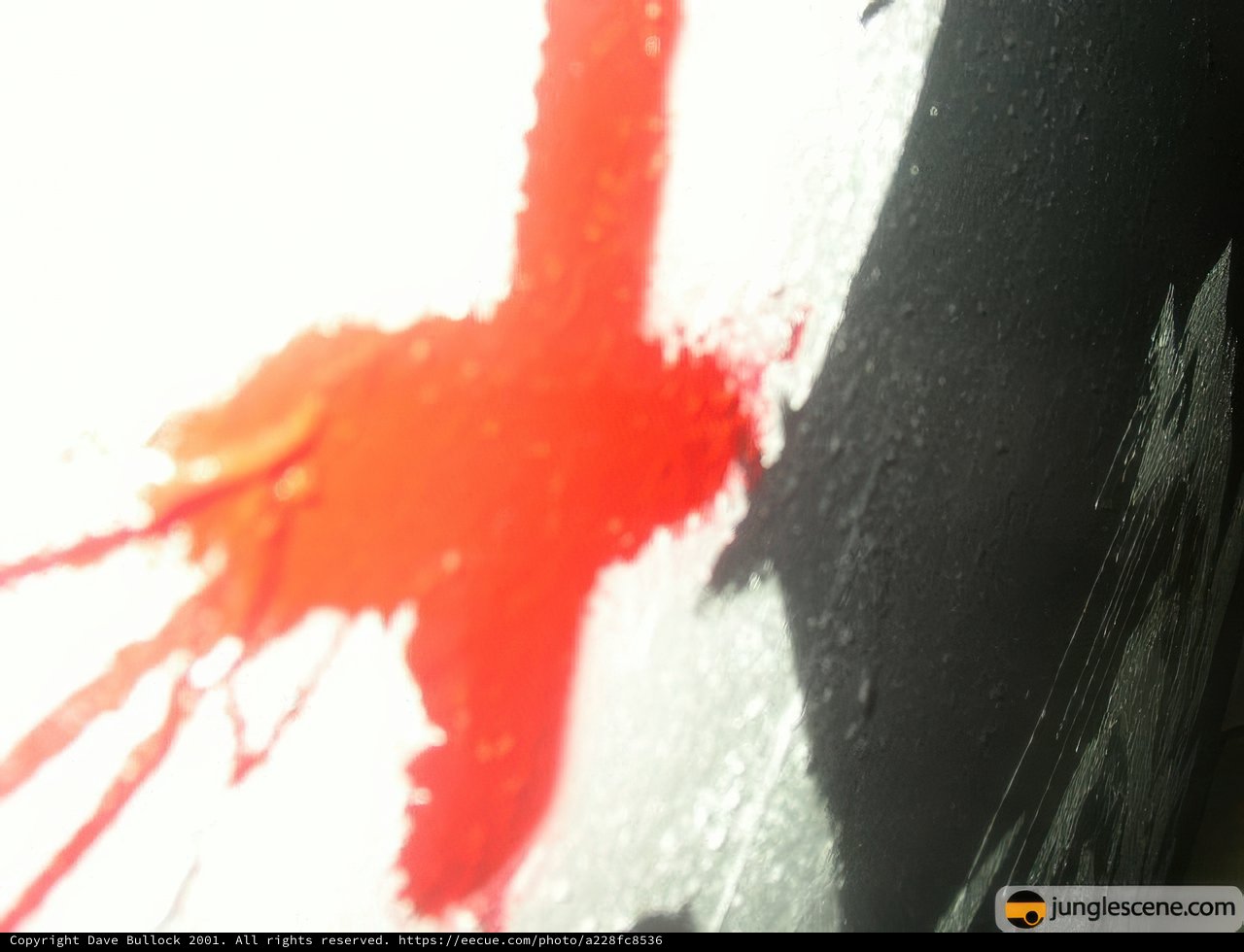 Crossed Stains