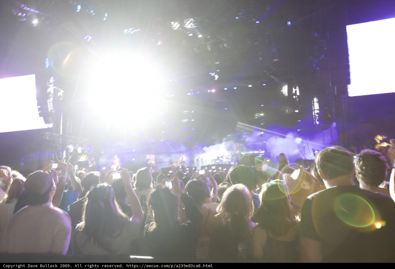 Bright Lights and Big Crowds: Coachella 2009 Concert Experience