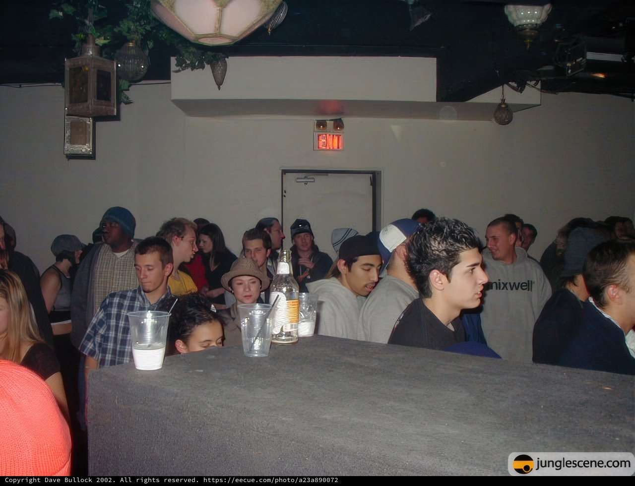 Nightlife Gathering