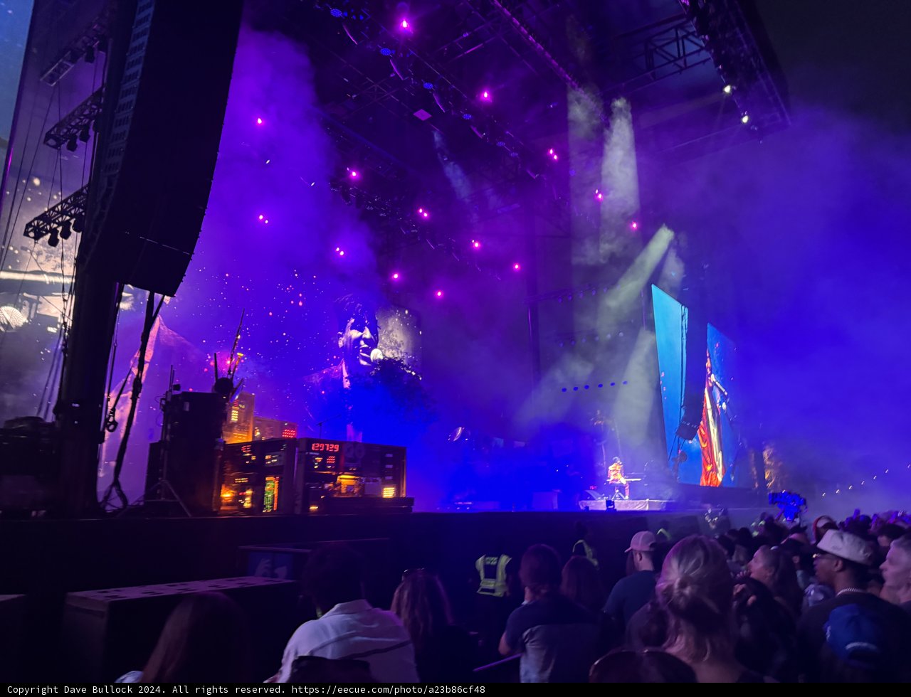 Electric Nights at Coachella 2024