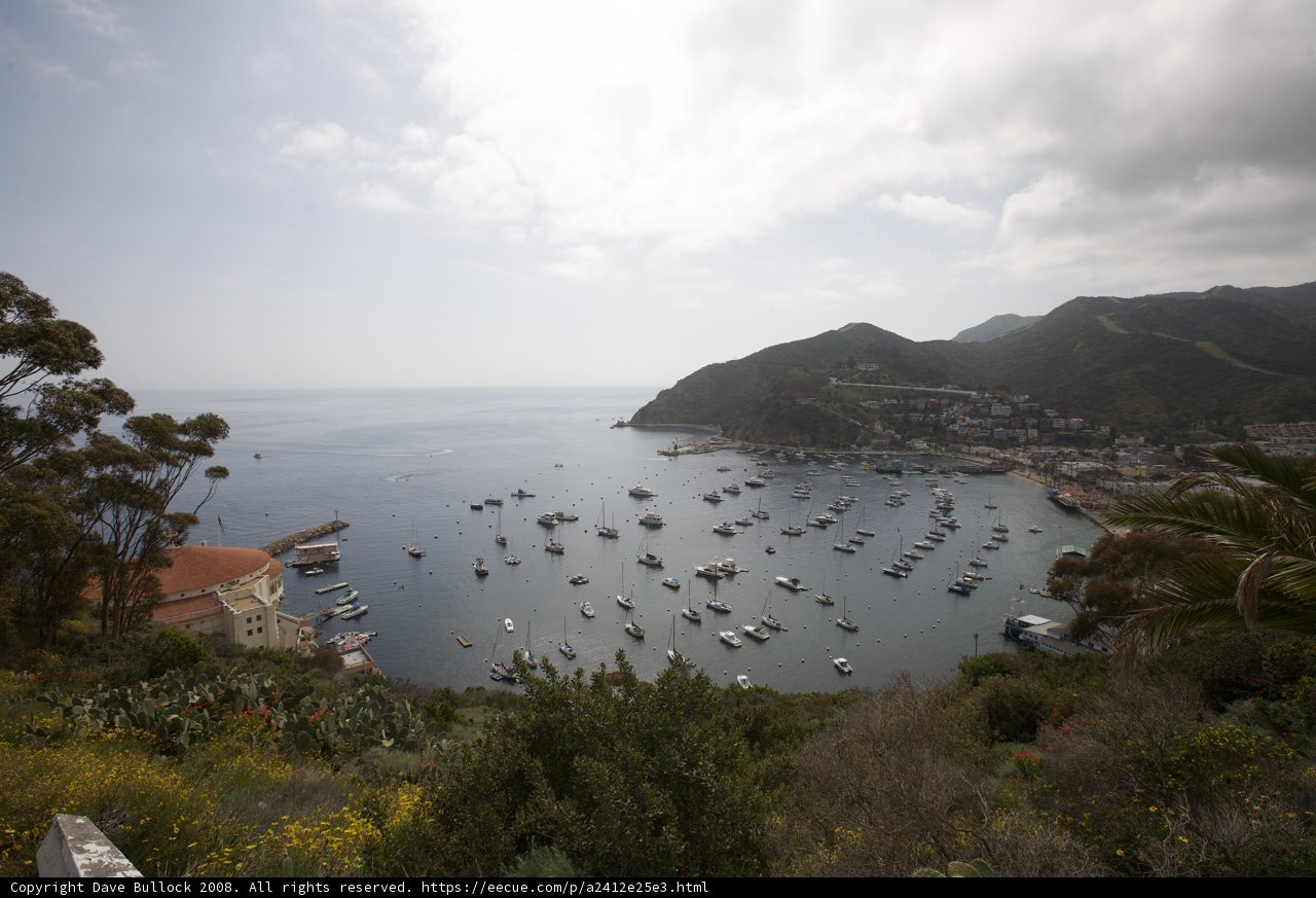 Boats at Catalina Harbor