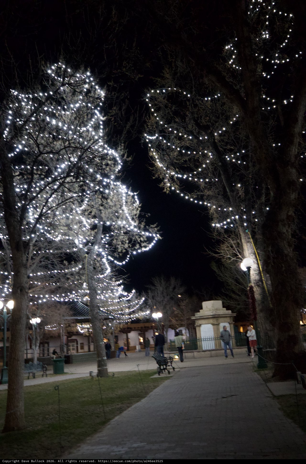 Santa Fe Plaza Illuminated with Holiday Lights at Night