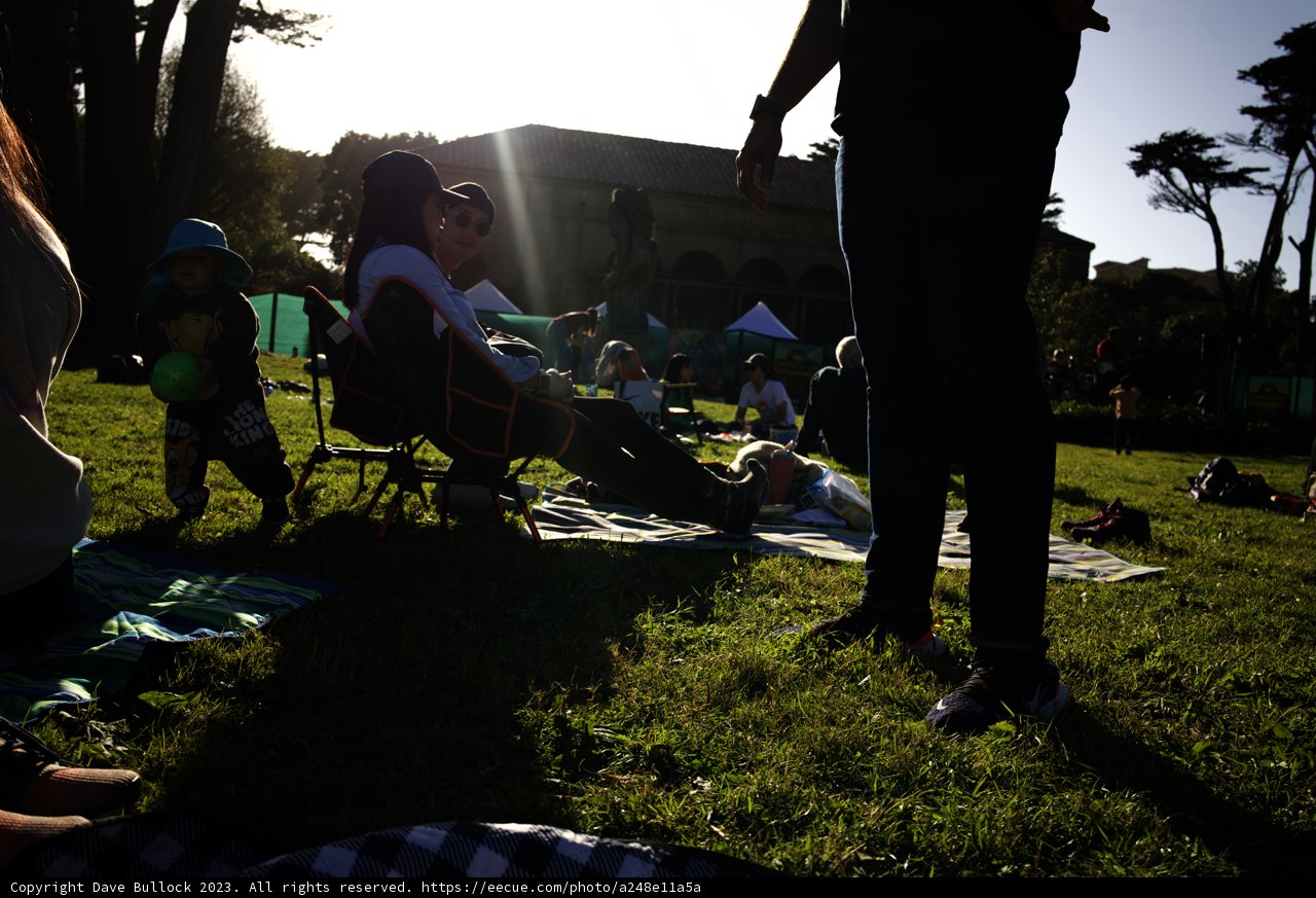 Summer Reverie: A Day in the Park, 2023