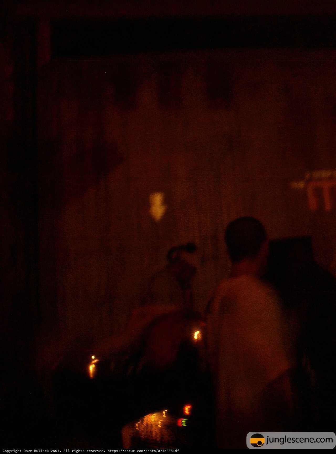 Party-goers in the Dark
