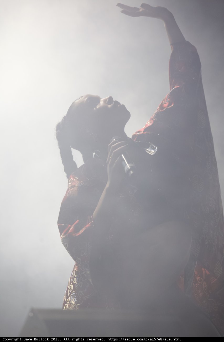 FKA twigs Beautiful Silhouette Profile Looking Up Arm Raised Elegant Hand Singing Red Brocade Kimono Braided Ponytails Heavy Backlit Haze