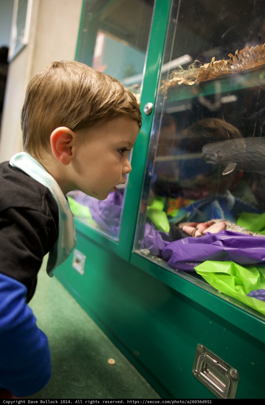 Discovery in Depth at the Academy of Sciences