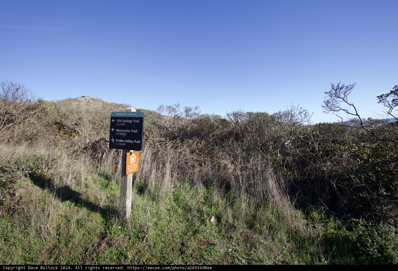 Lone Sign amidst Nature's Tapestry