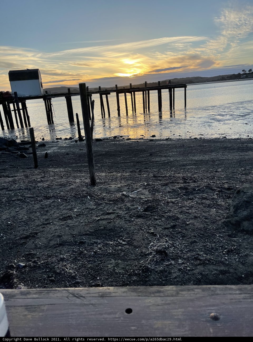 Serenity By The Shoreline