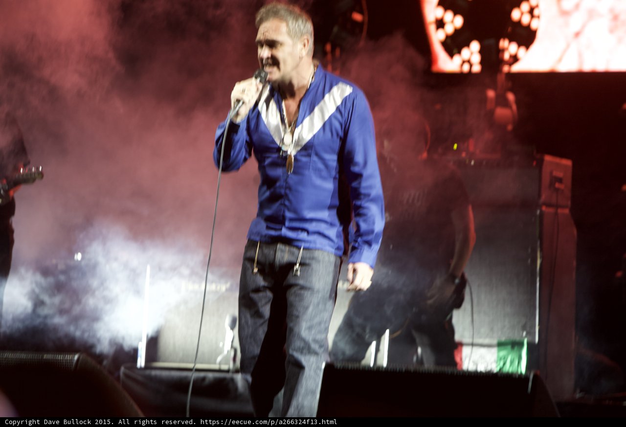 Morrissey Full Body Singing Shirt Open Blue White Stripe Pink Haze Guitarist Silhouette