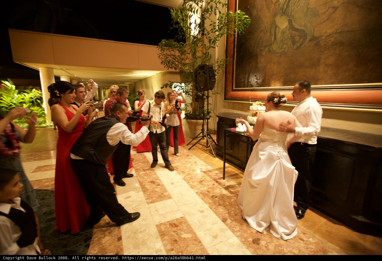 Picture Perfect Wedding Party