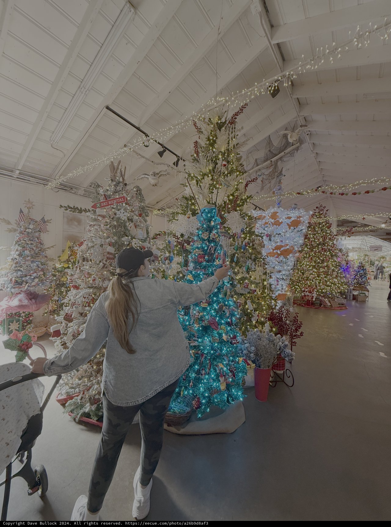 Woman Decorating Blue Christmas Tree Display