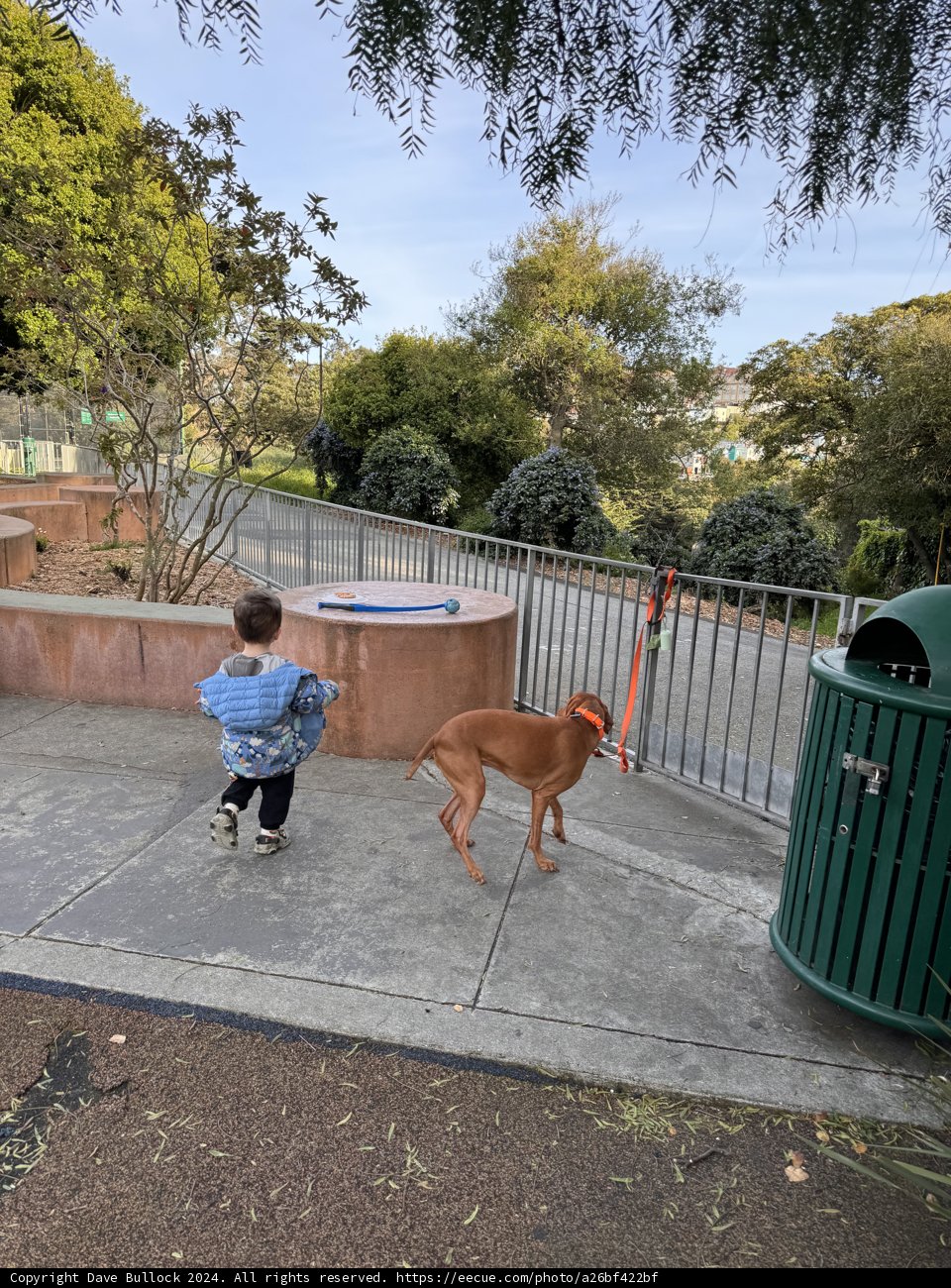 Stroll in the Park