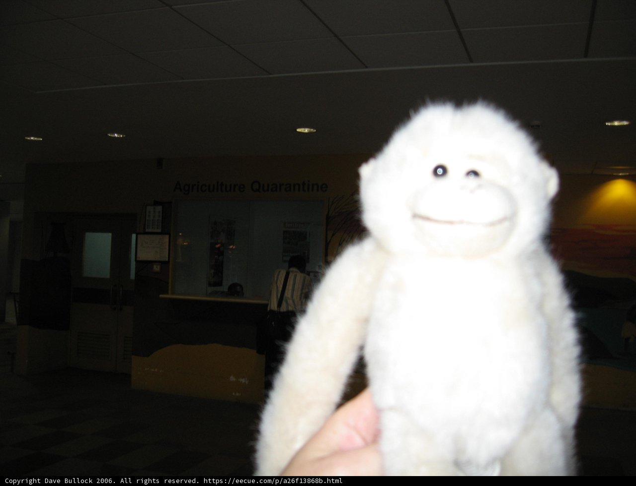 Stuffed Monkey Cuddles with Its New Friend