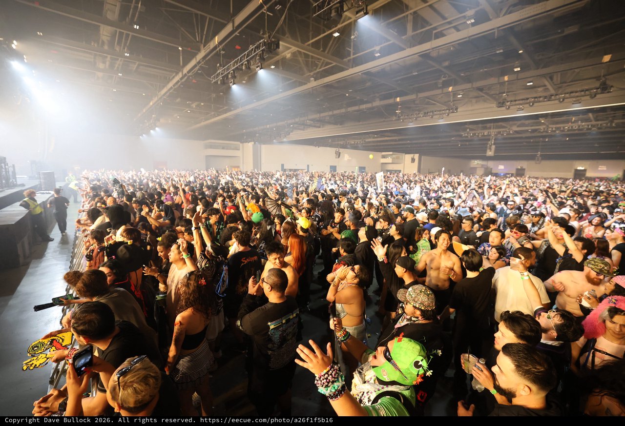 Massive Crowd Erupts at Wobbleland 2026 Festival