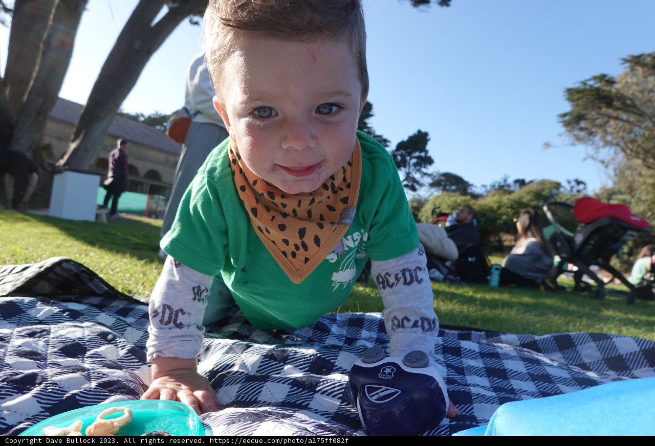 A Sunny Day in the Park