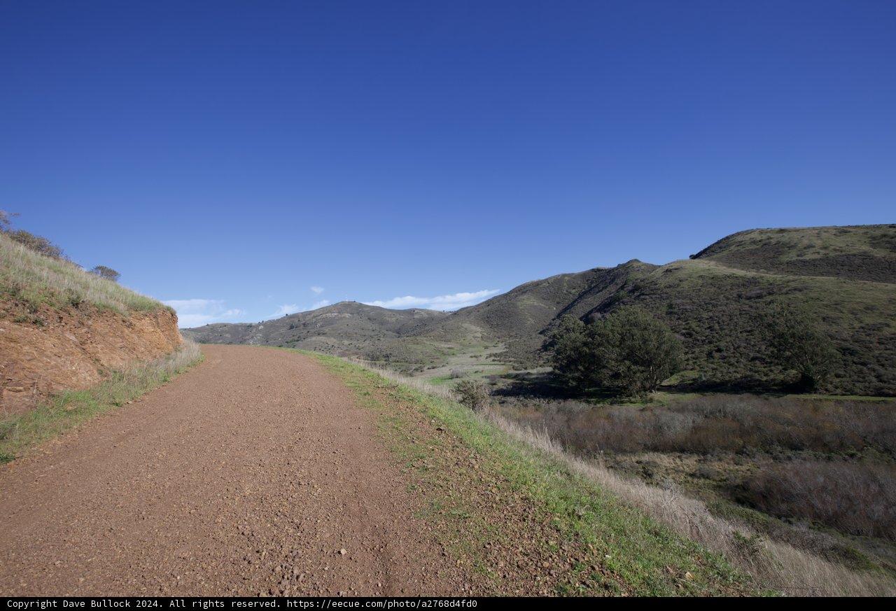 The Peaceful Patina of Marin Headlands Hill