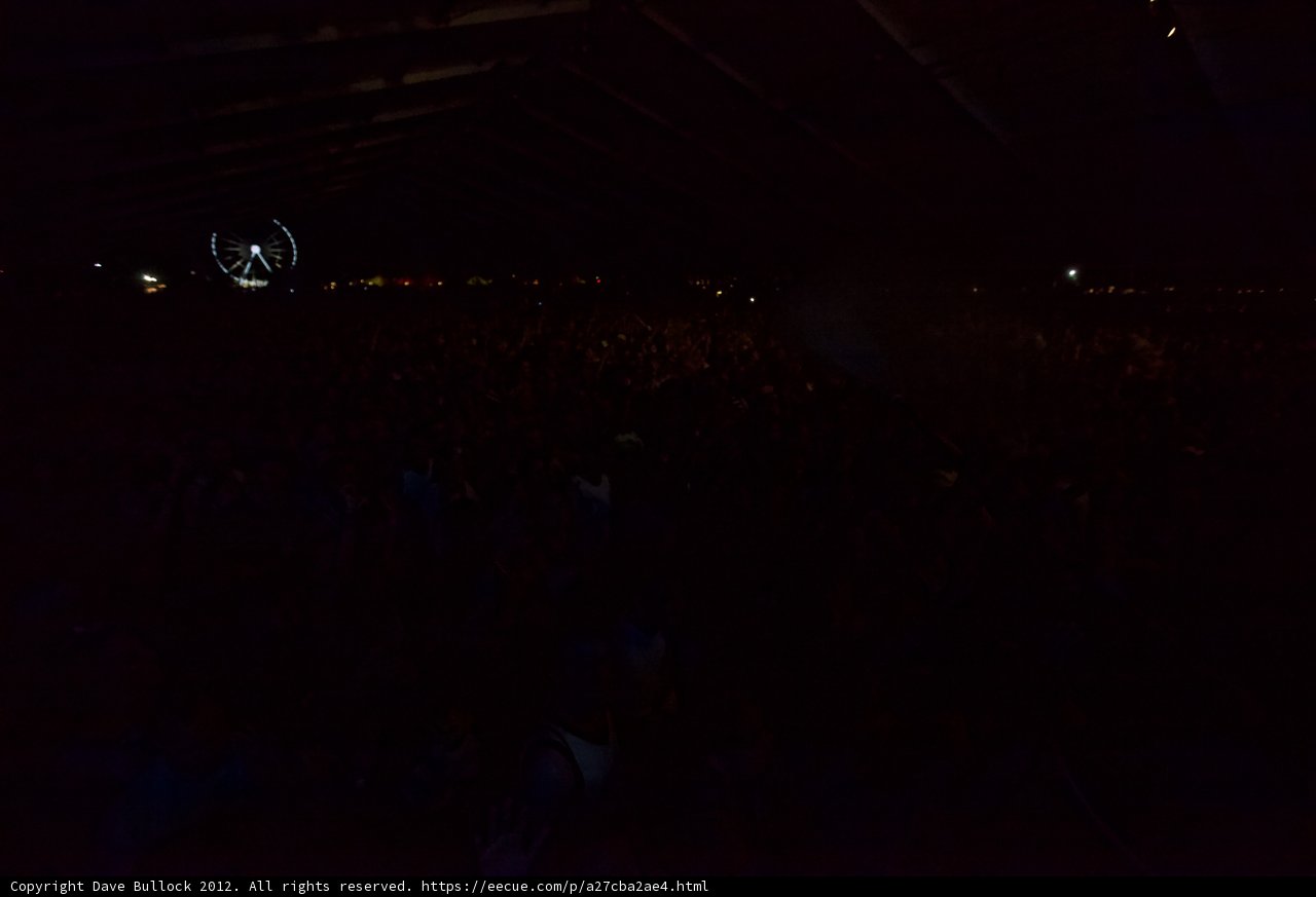 Nighttime Concert Crowd