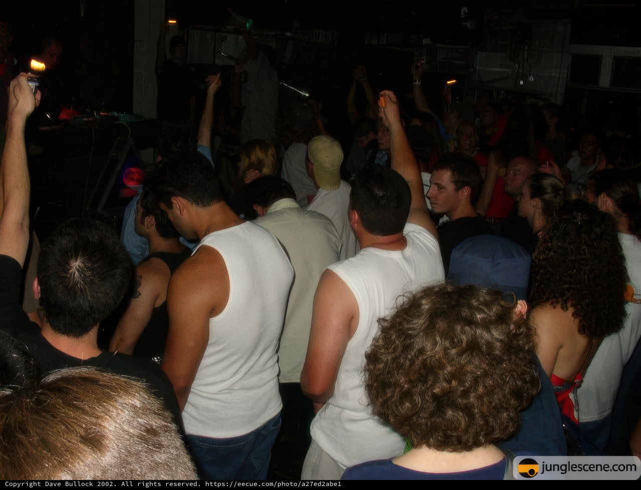 Nightclub Celebration