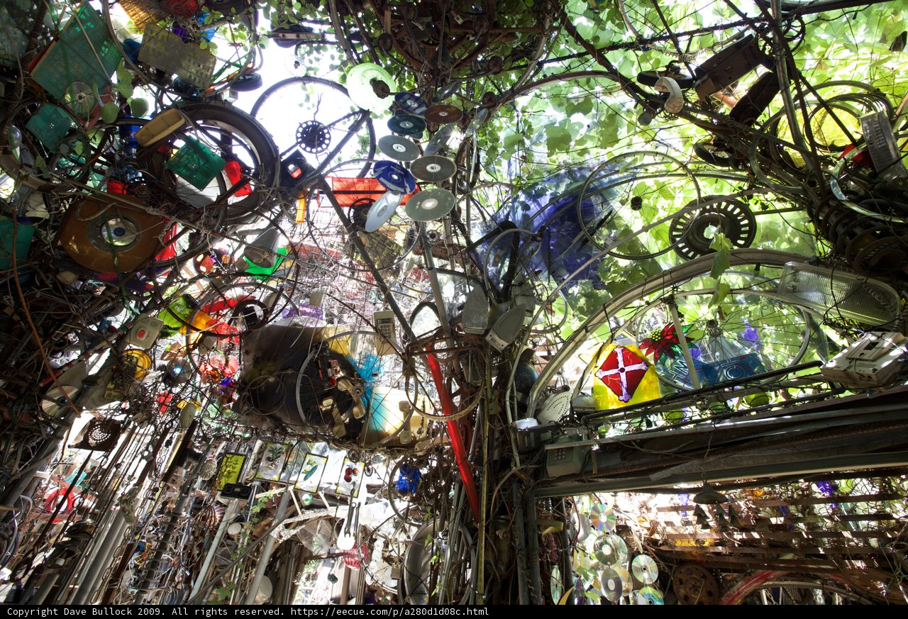 The Eclectic Tree of Austin Trash Chapel