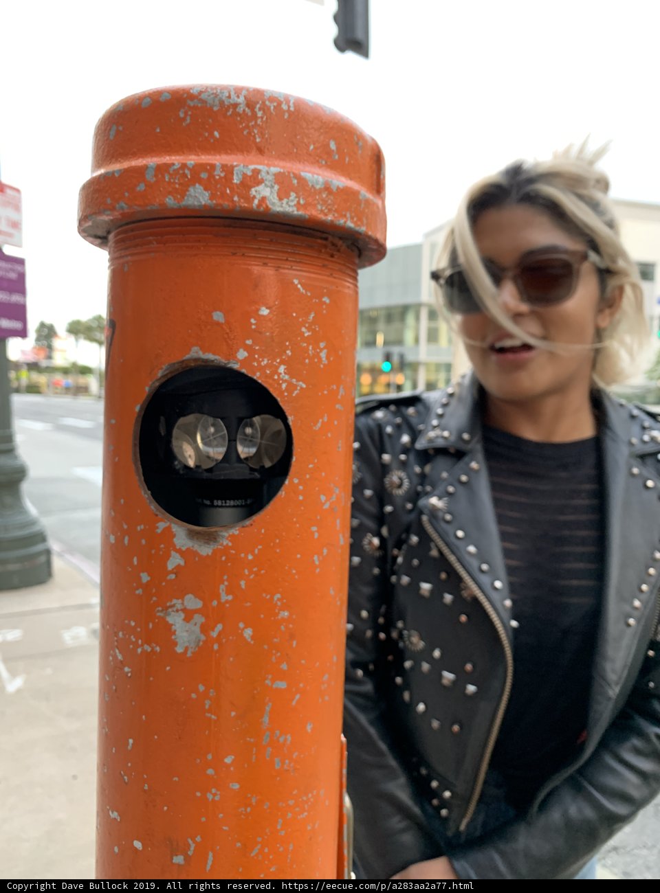 Stylish Tara in a Black Leather Jacket