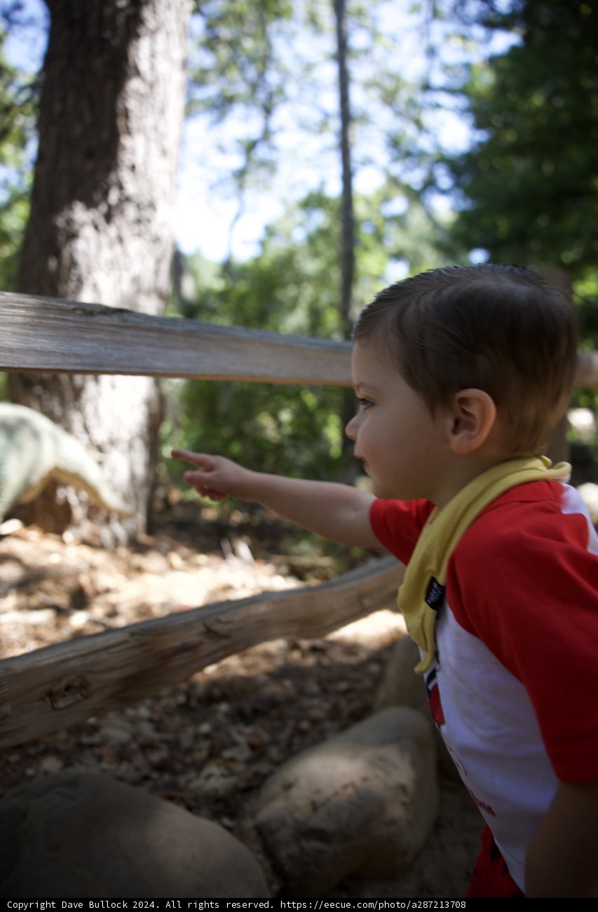 Tiny Explorer in the Woodland
