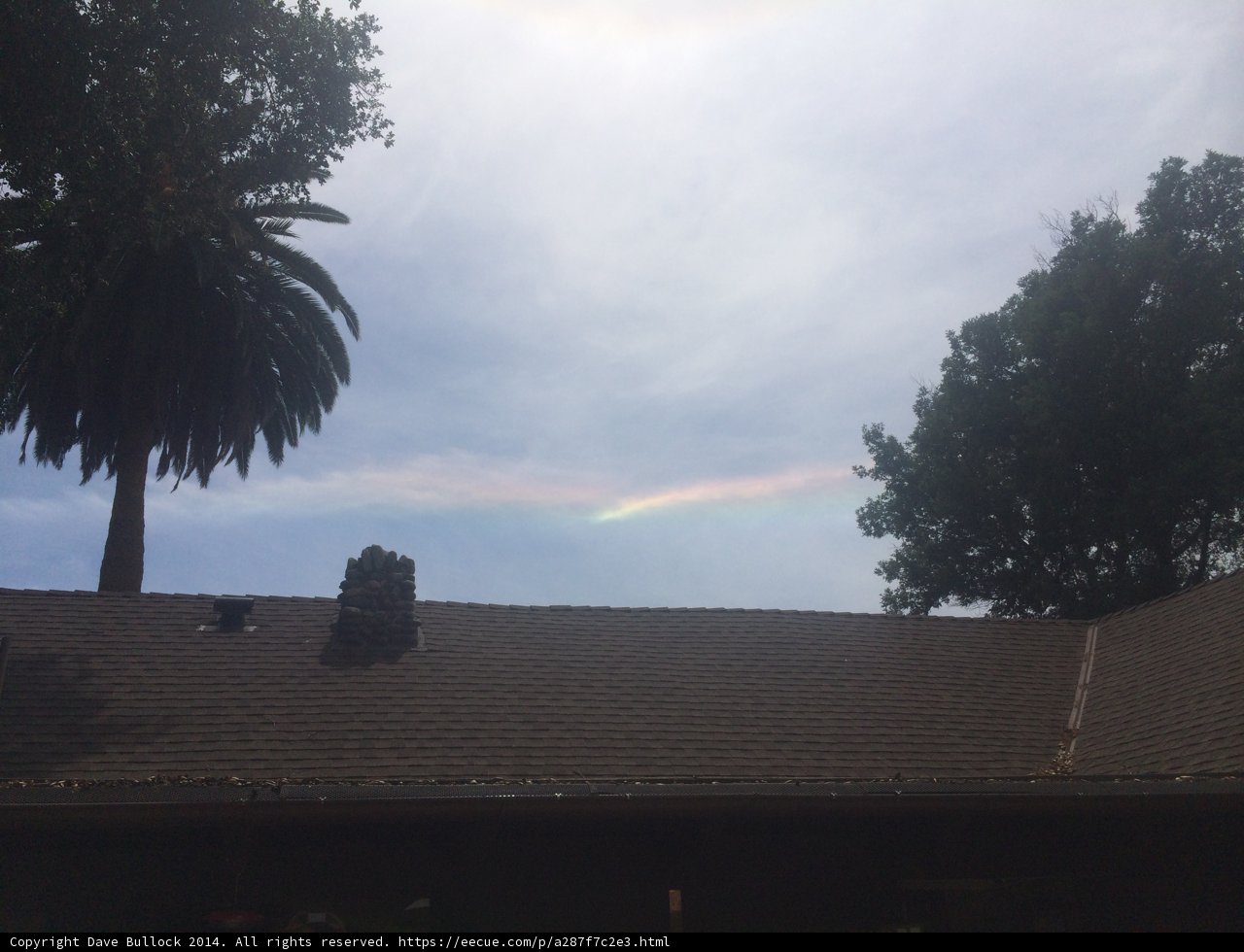 Rainbow Over Palm Trees and Rooftops