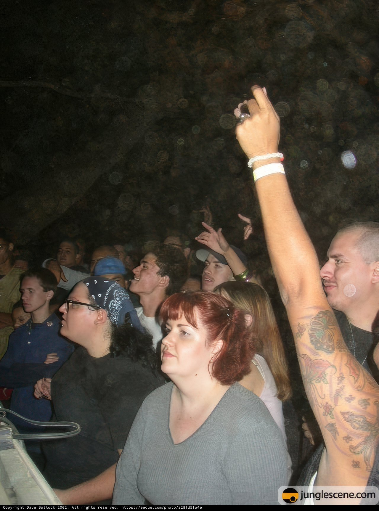 Summer Concert Vibes