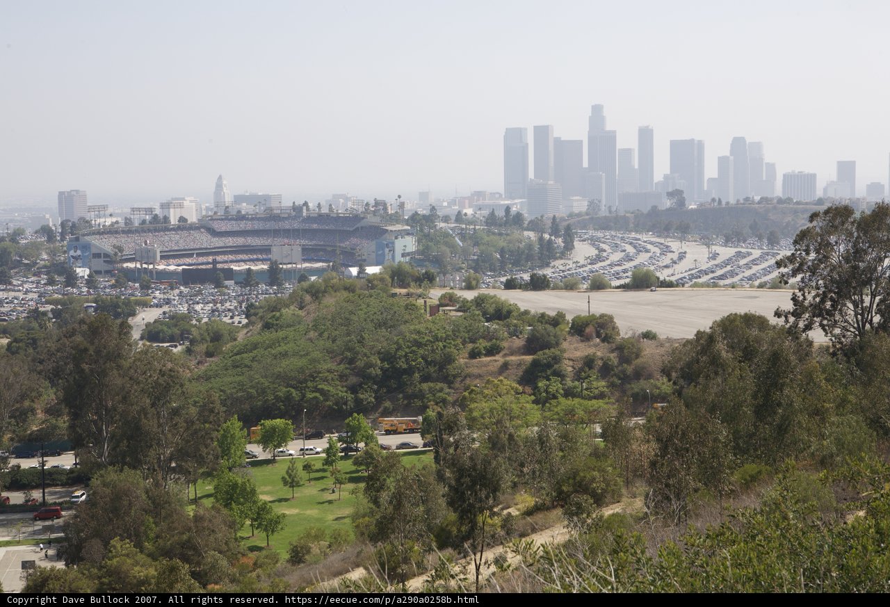 Metropolis on the Horizon