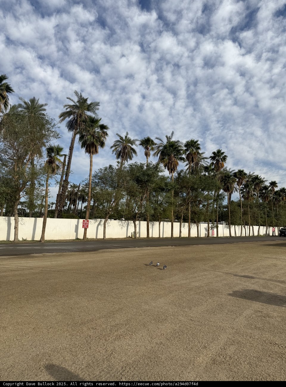 Desert Serenity at Empire Polo Club