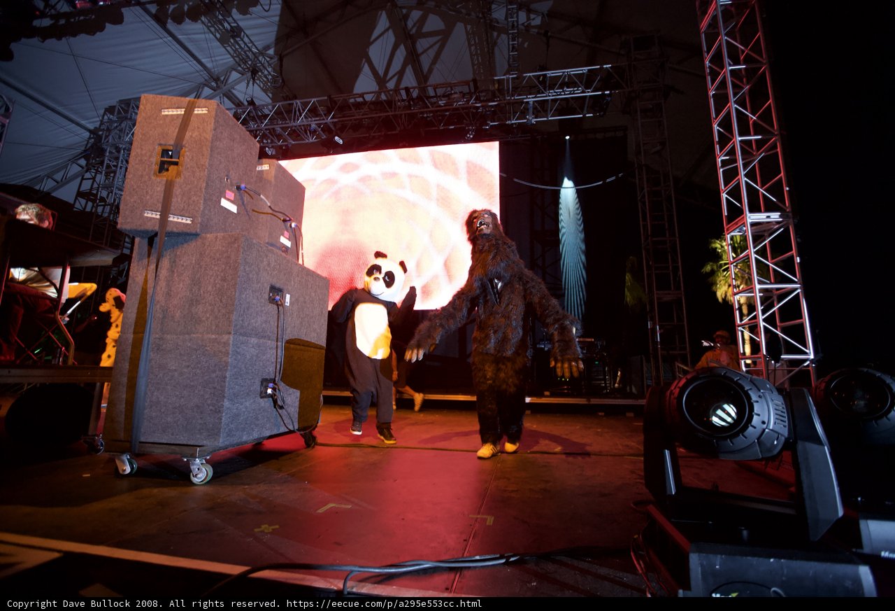 Gorilla Man rocks Coachella with Speaker
