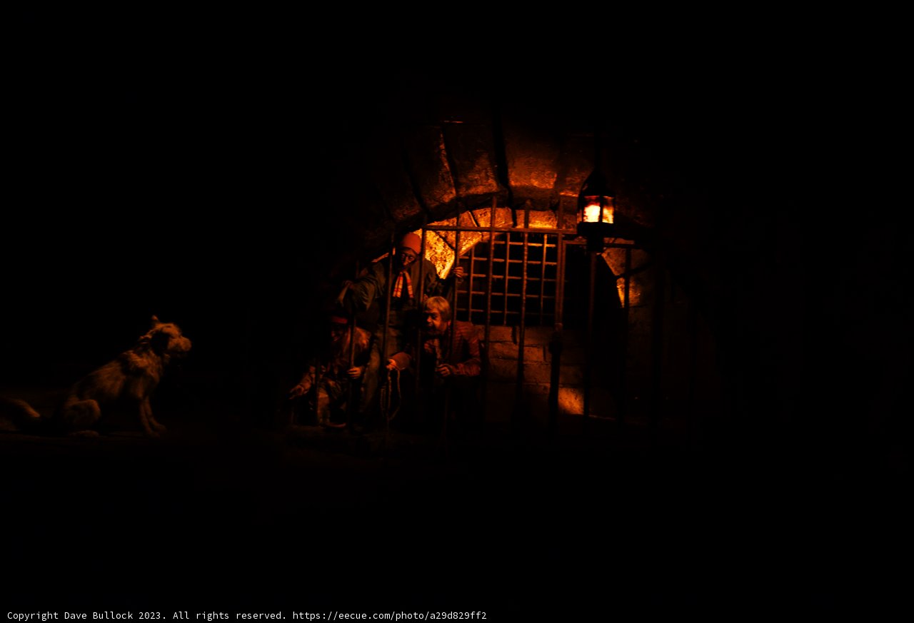 Creatures of the Night In Captivity