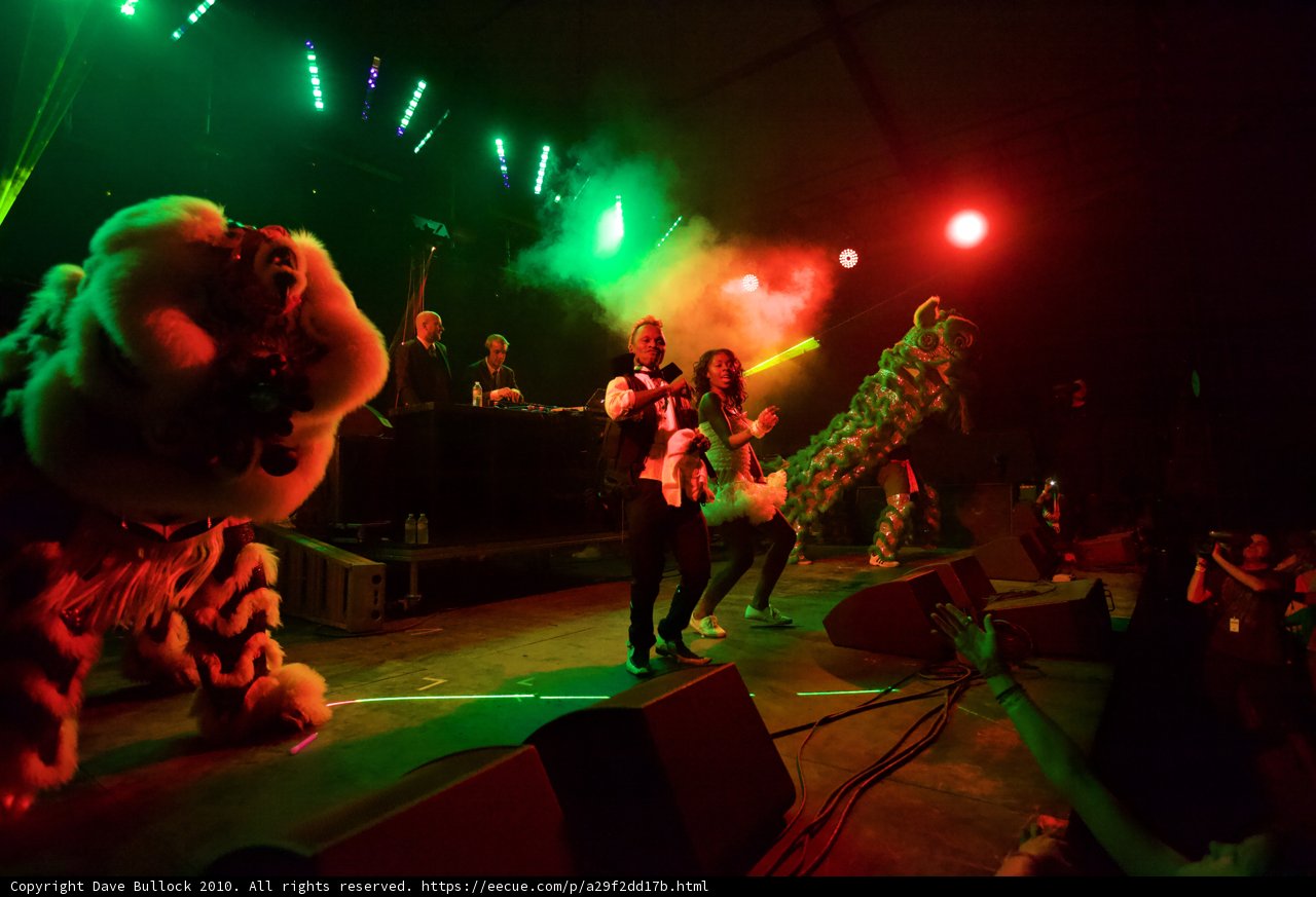 Tigers and Tunes at Coachella