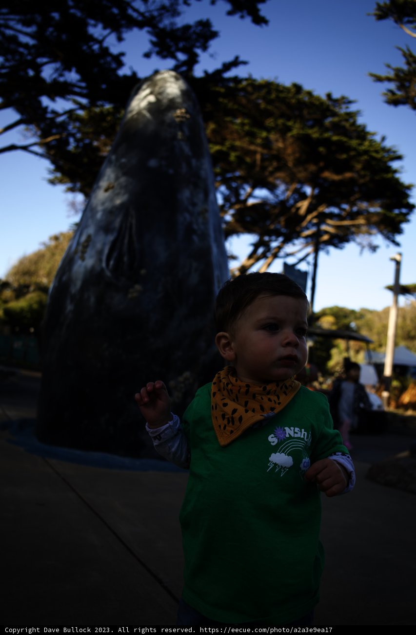 Playful Afternoon: A Baby and Whale's Encounter
