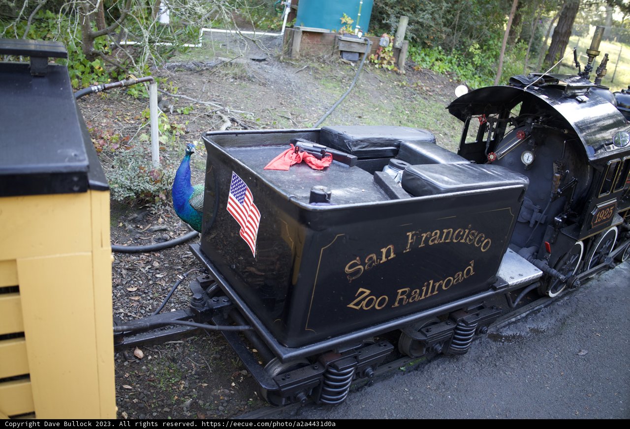 Vivid Rendezvous with the Miniature Train at SF Zoo, November 2023