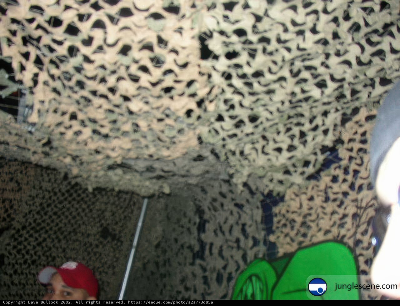 Camouflage Man