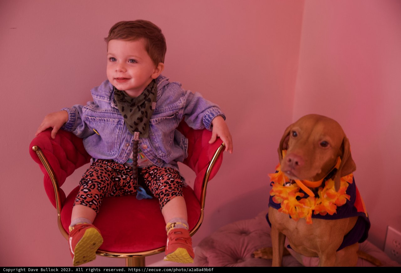 Cheerful Companions: Wesley's 5th Birthday Party