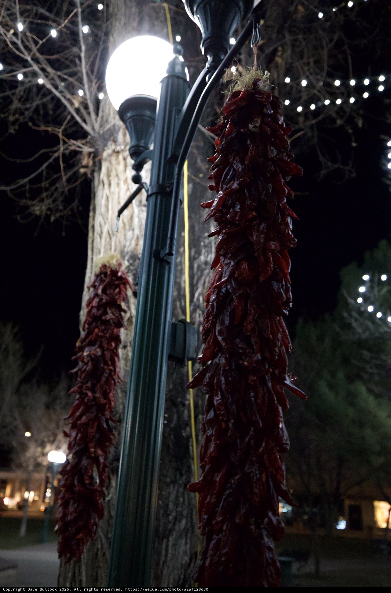Red Chile Ristras Hanging from Lamppost at Night