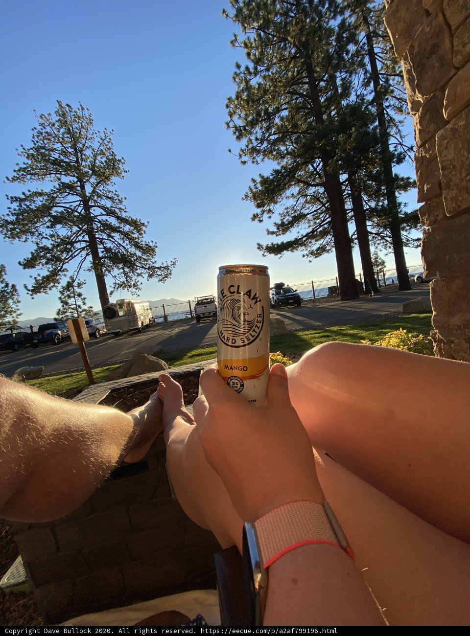 Enjoying a Lager in the Grove