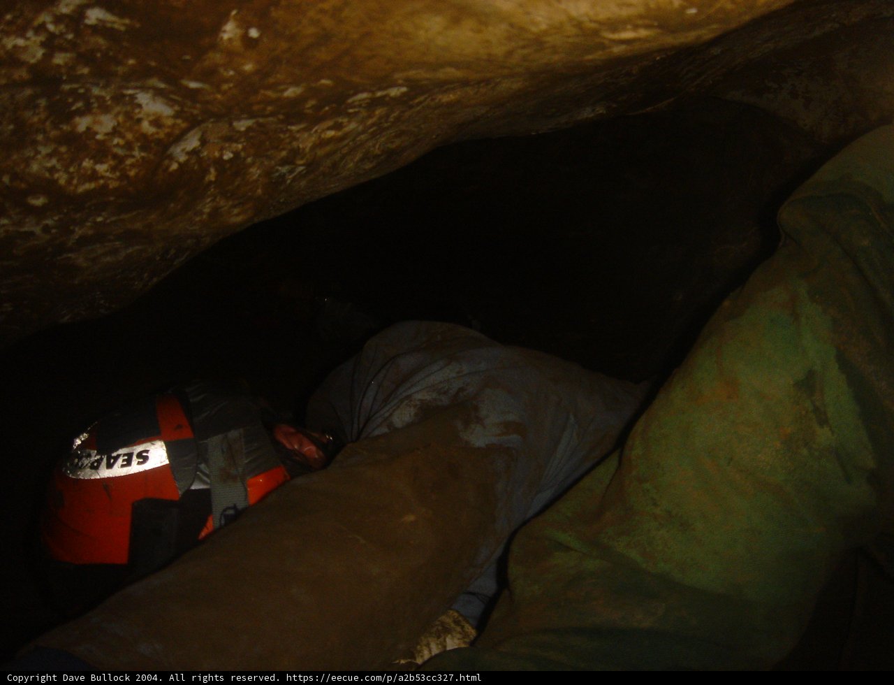Cave Dweller