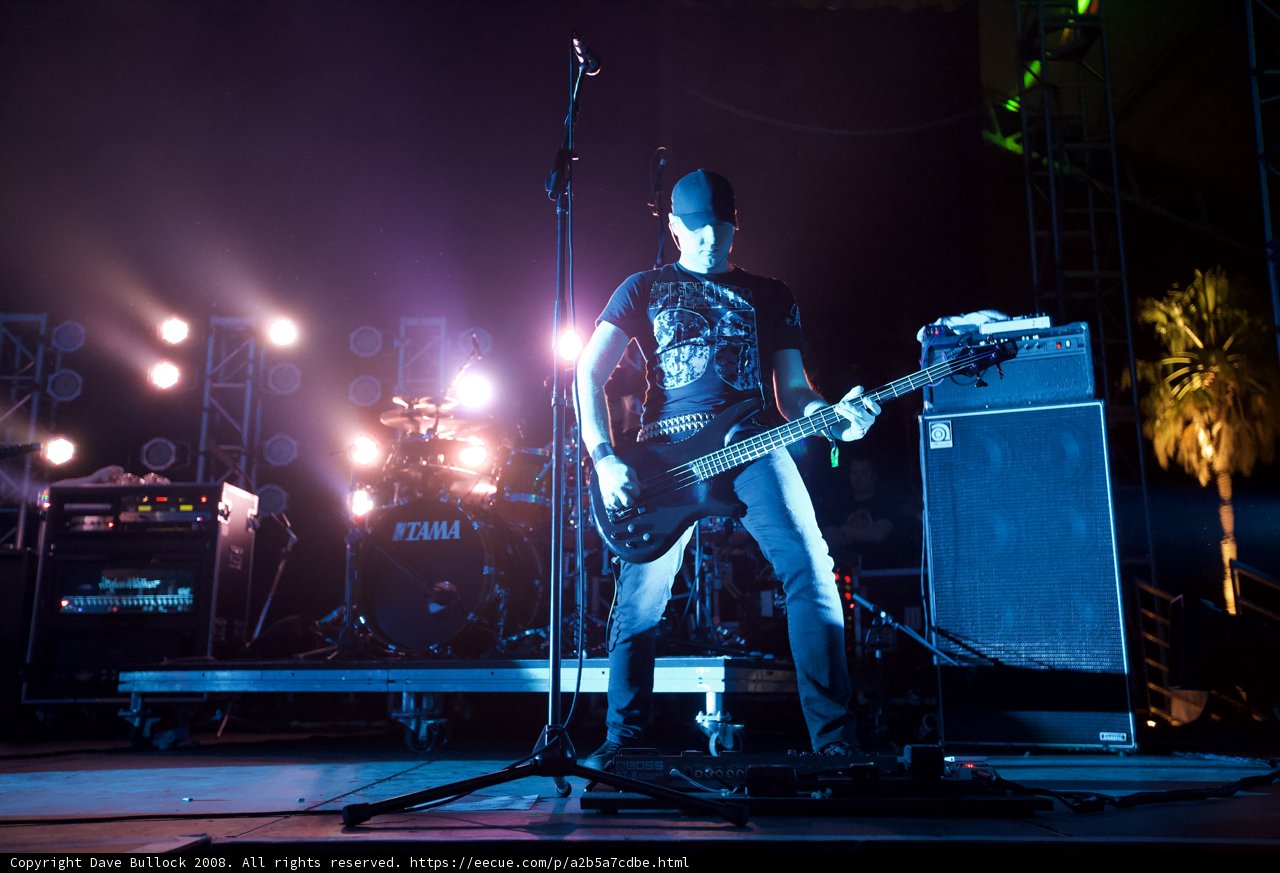 Nighttime Bassist Takes the Stage