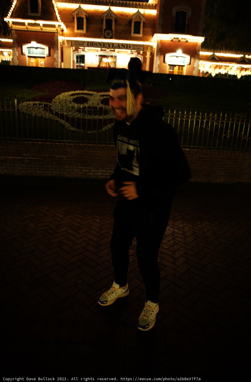 Enchanted Nighttime Stroll